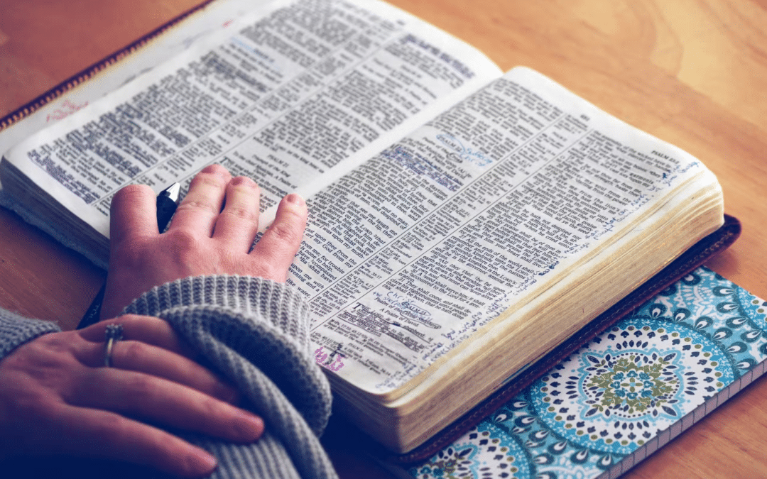 Personal Bible Study Basics